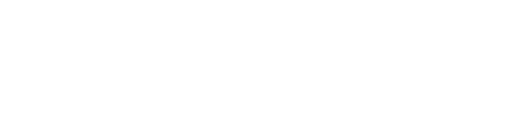 Skou gruppen